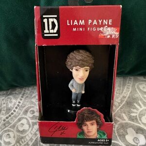 Liam Paine mini figure